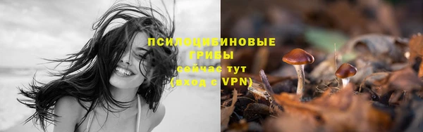 a pvp Алзамай