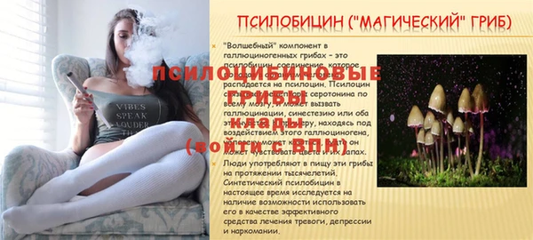 a pvp Алзамай