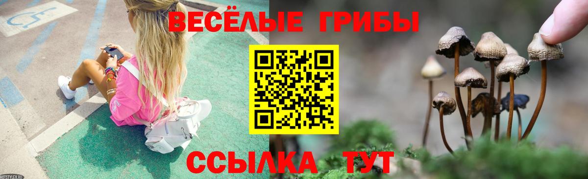 Бийск  Псилоцибиновые грибы мухоморы  Вход с VPN 